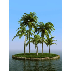 3dMentor HQPalms-03 (19) coconut palm 