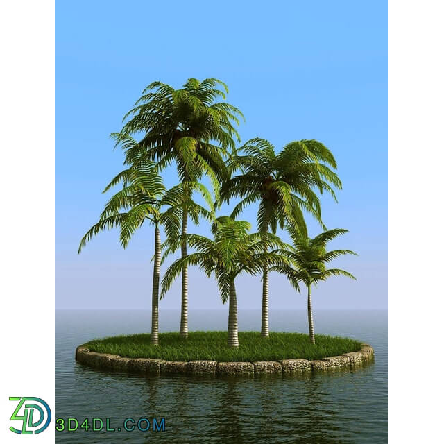 3dMentor HQPalms-03 (19) coconut palm