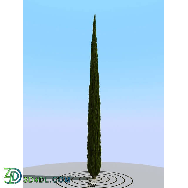 3dMentor HQPlants-02 (142) cypress 2