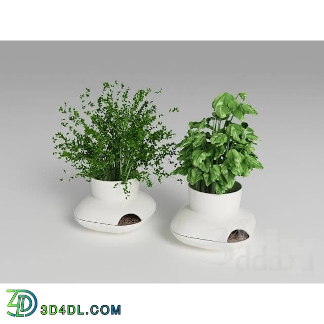 Plant - Herbs Sagaform
