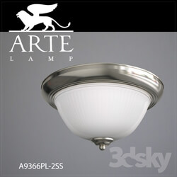 Ceiling light - Ceiling light Arte Lamp A9366PL-2SS 