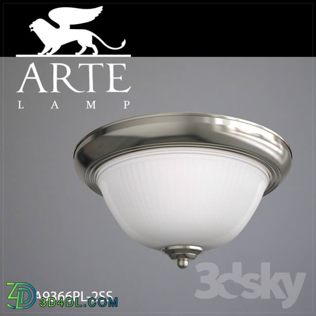 Ceiling light - Ceiling light Arte Lamp A9366PL-2SS