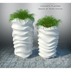 Plant - Concrete beds by Marie Khouri 