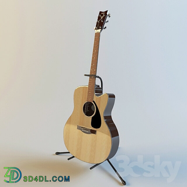 Musical instrument - Acoustic Guitar