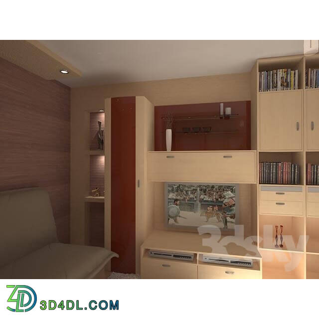 Wardrobe _ Display cabinets - TV wall