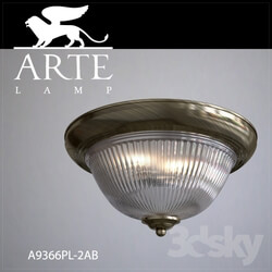 Ceiling light - Ceiling light Arte Lamp A9366PL-2AB 