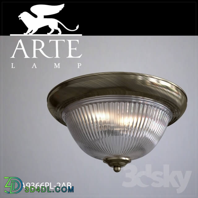 Ceiling light - Ceiling light Arte Lamp A9366PL-2AB