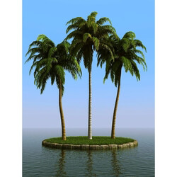 3dMentor HQPalms-03 (21) coconut palm 