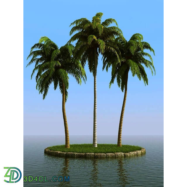 3dMentor HQPalms-03 (21) coconut palm