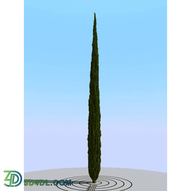 3dMentor HQPlants-02 (144) cypress 2