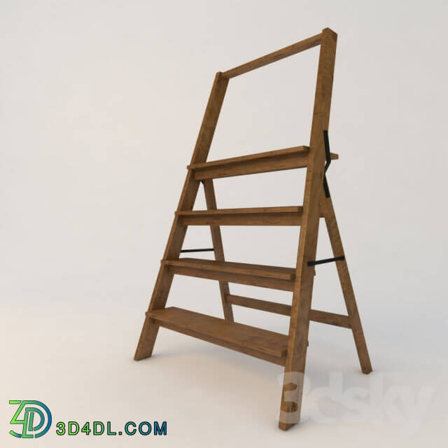 Other - Ladder