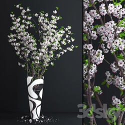 Plant - Cherry White Blossom 