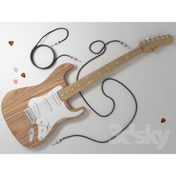 Musical instrument - Electric Guitar_ Fender Stratocaster 