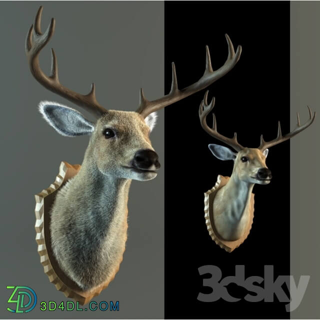 Other decorative objects - stuffed deer
