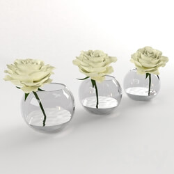 Plant - White roses in a glass vessel 