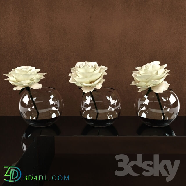 Plant - White roses in a glass vessel