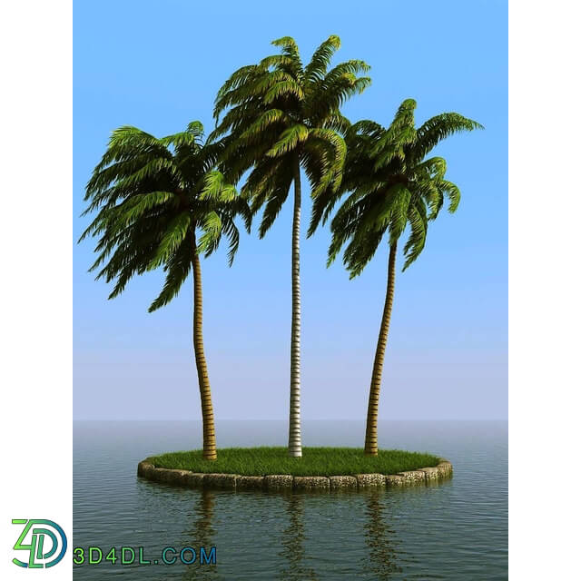 3dMentor HQPalms-03 (22) coconut palm wind