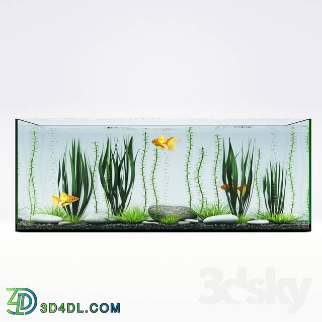 Other decorative objects - Aquarium