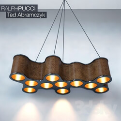 Ceiling light - RALPHPUCCI Ted Abramczyks chandleir 