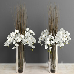 Plant - Orchids with willow branches 