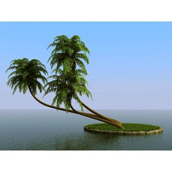 3dMentor HQPalms-03 (23) coconut palm 