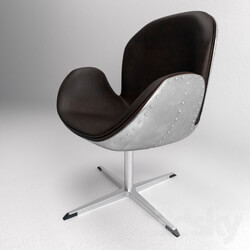 Arm chair - Swan Chair 