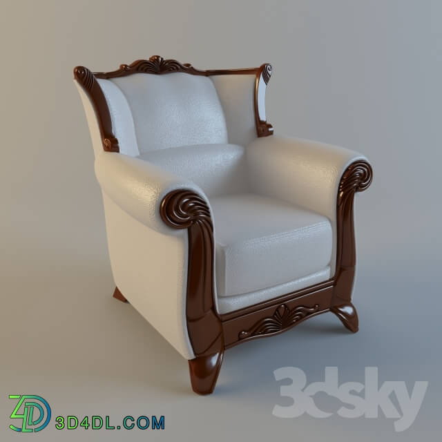 Arm chair - Armchair _Napoleon_