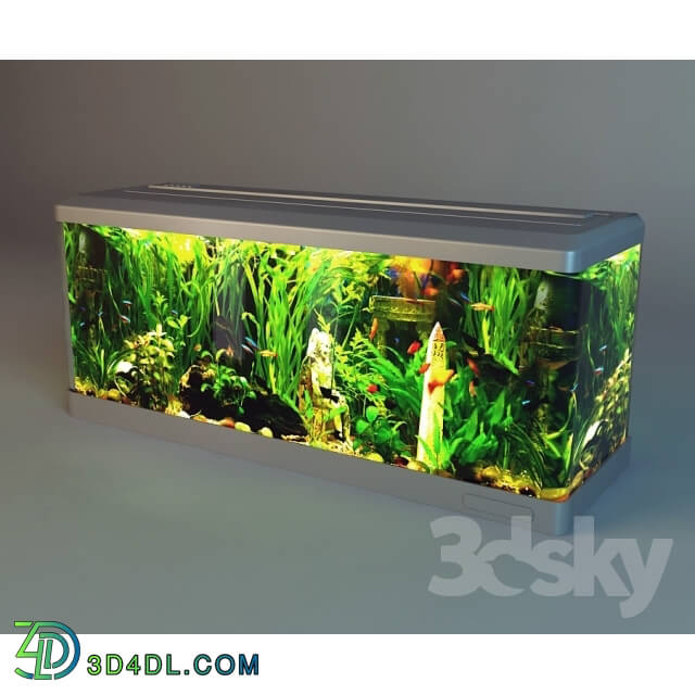 Other decorative objects - Aquarium without thumbs