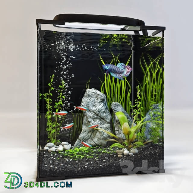 Other decorative objects - Aquarium
