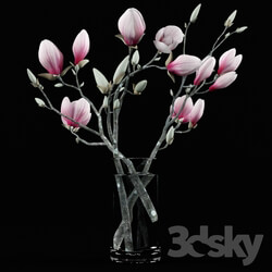 Plant - Magnolia Bouquet 