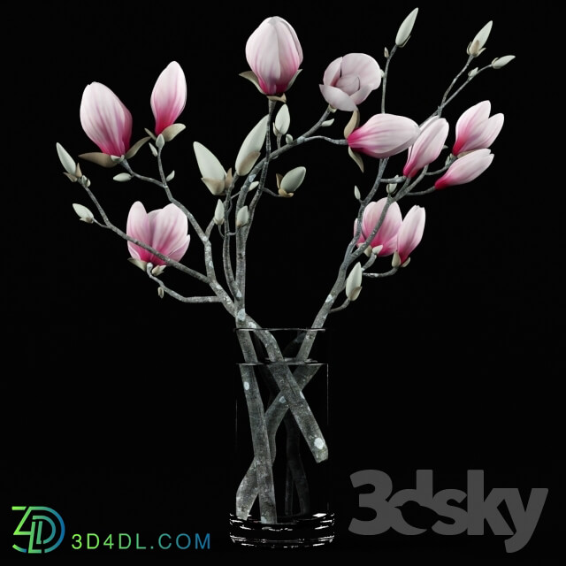 Plant - Magnolia Bouquet