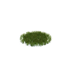 ArchModels Vol126 (011) simple grass medium v2 