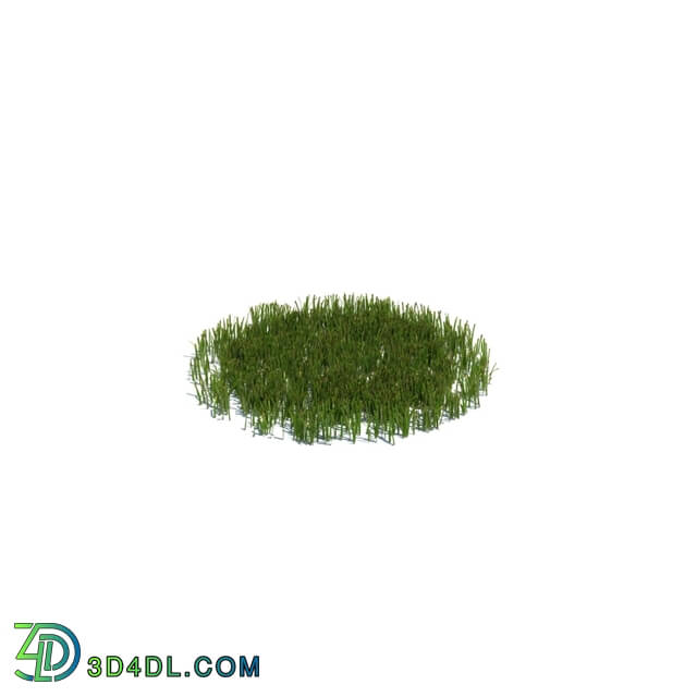 ArchModels Vol126 (011) simple grass medium v2