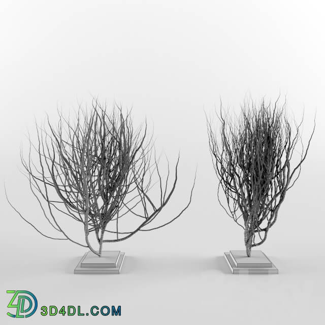 Other decorative objects - BUSH DECO