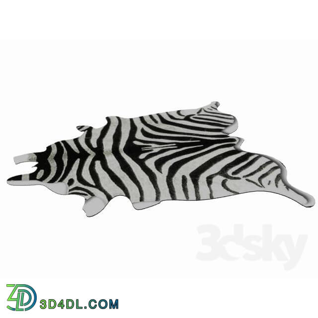 Other decorative objects - Zebra skin