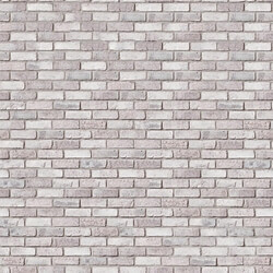 Brick - White brick 