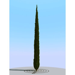 3dMentor HQPlants-02 (148) cypress 2 