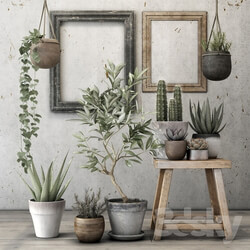 Plant - Decorative plant set 