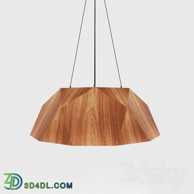 Ceiling light - Wood Lamp.