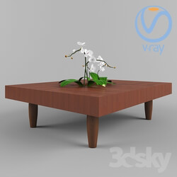 Table - Oasis table from TED BOERNER 