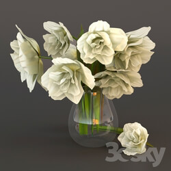 Plant - White tulips in a glass vase 