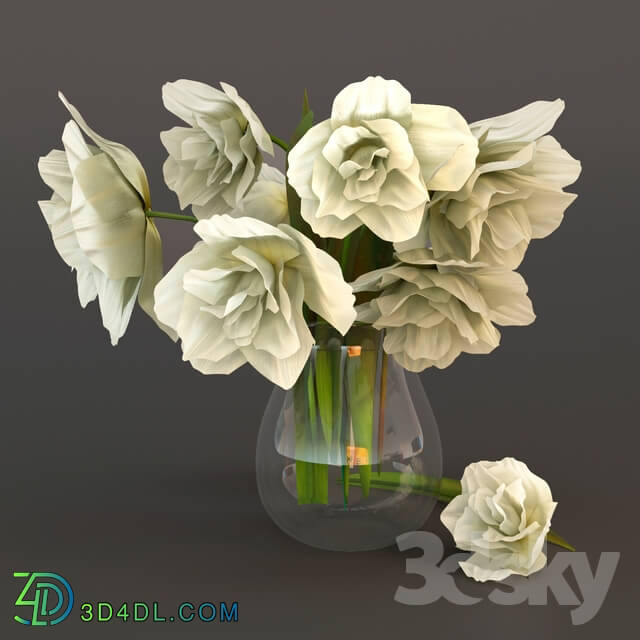 Plant - White tulips in a glass vase