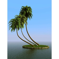 3dMentor HQPalms-03 (26) coconut palm 
