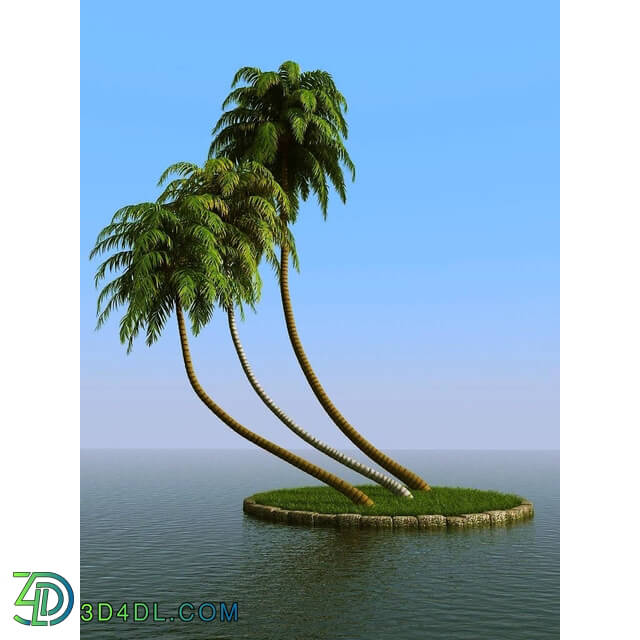 3dMentor HQPalms-03 (26) coconut palm