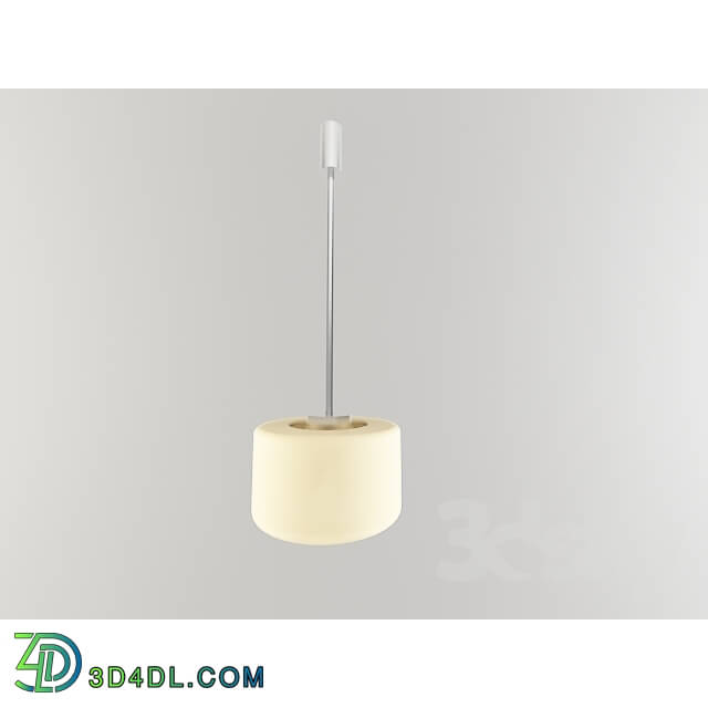 Ceiling light - The Luminaire