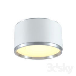 Spot light - LED Ceiling Light LDC 126 