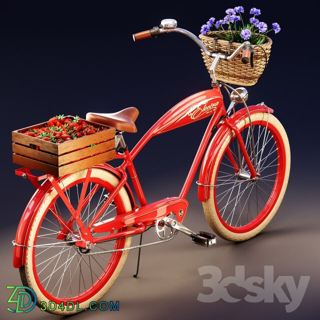 Transport - Electra Indy 3i