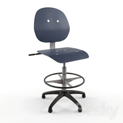 Chair - Workshop Chair 