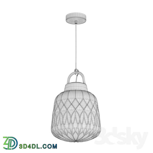 Ceiling light - Landscape suspension Novotech 370601 Conte