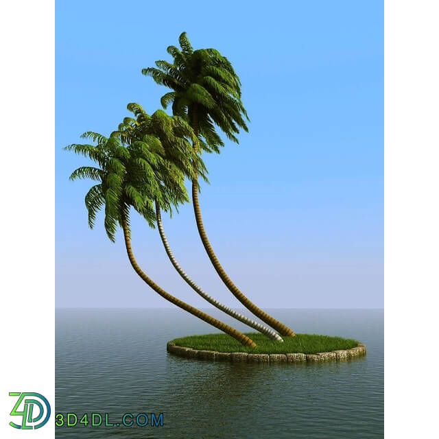 3dMentor HQPalms-03 (27) coconut palm wind
